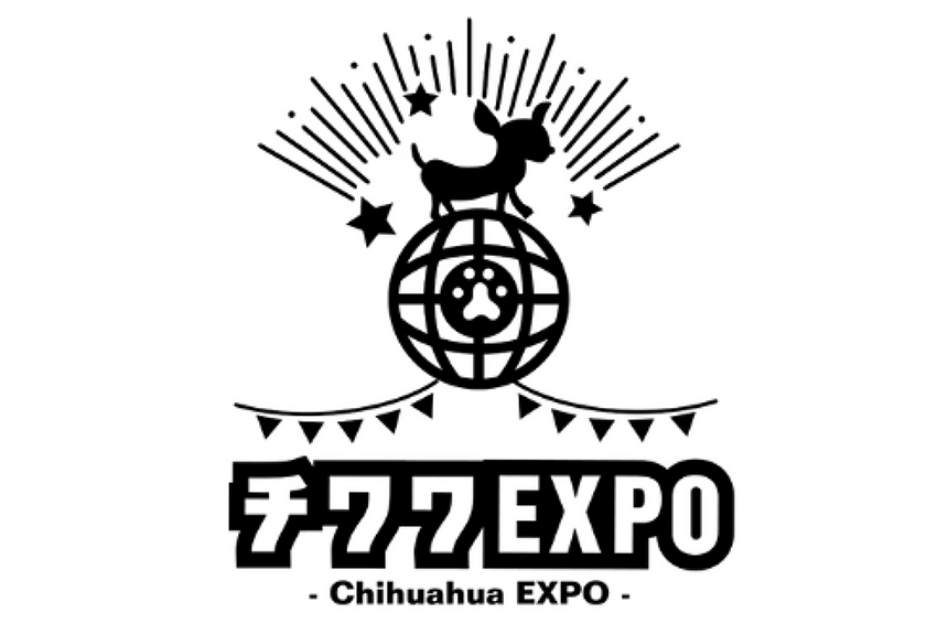 chihuahua-expo